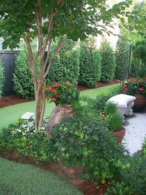 Inexpensive Landscaping, Backyard Landscapes, Fence Trees, Courtyard Landscaping, Simple Garden, Patio Backyard, Ideas Backyard, Landscape Designs, Garden Designs