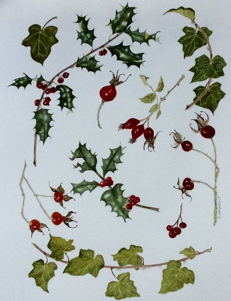 Holly And Ivy Tattoo, Holly Berry Tattoo, Ivy Tattoo, Holly Wreath, Glass Painting Designs, Holly Berries, Nature Drawing, Botanical Watercolor, Winter Flowers