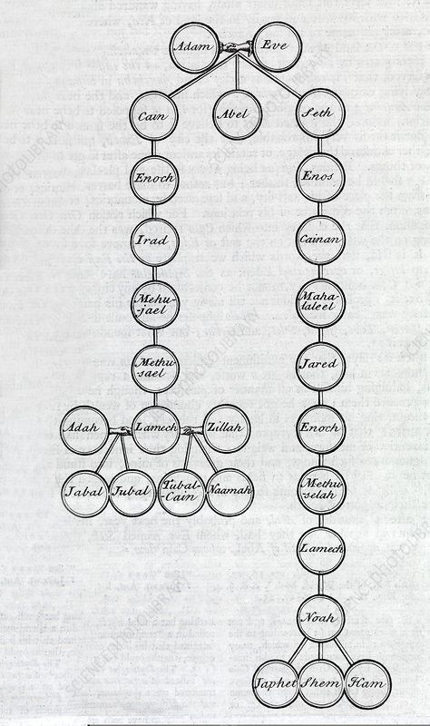 Adam and Eve family tree, 18th century - Stock Image - C013/7820 ... Family Tree Of Adam And Eve, Adam And Eve Family Tree, Bible Family Tree From Adam And Eve, Old Testament Family Tree, Genesis Family Tree, Adam And Eve Notes, Jesus Family Tree, Bible Family Tree, Family Chart