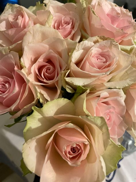 Blush roses Mallorca Wedding, Flowers Tea, Tea Rose, Flower Tea, Tea Roses, Blush Roses, Beautiful Flowers, Hawaii, Blush