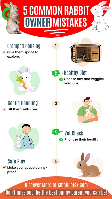 🐰📌 Avoid these common rabbit owner mistakes for a happy, healthy bunny!

Discover essential tips on housing, diet, handling, health checks, and safe play.

Learn these mistakes and more in detail at SmallPetsX.Com and be the best bunny parent you can be! 🐇📖 #RabbitCare #BunnyLove Rabbit Things, Bunny Tips, Bunny Care Tips, Bunny Supplies, Pet Rabbit Care, Space Bunnies, Female Rabbit, Pet Bunny Rabbits, Bunny Care