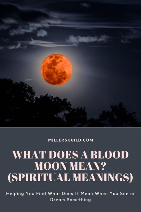 What Does a Blood Moon Mean (Spiritual Meanings) 1 Red Moon Meaning, Red Moon Ritual, Red Fox Spiritual Meaning, Strawberry Moon Meaning, Blood Moon Spiritual Meaning, New Moon Meaning, Looking Up At The Sky, Red Inspiration, Blood Red Moon