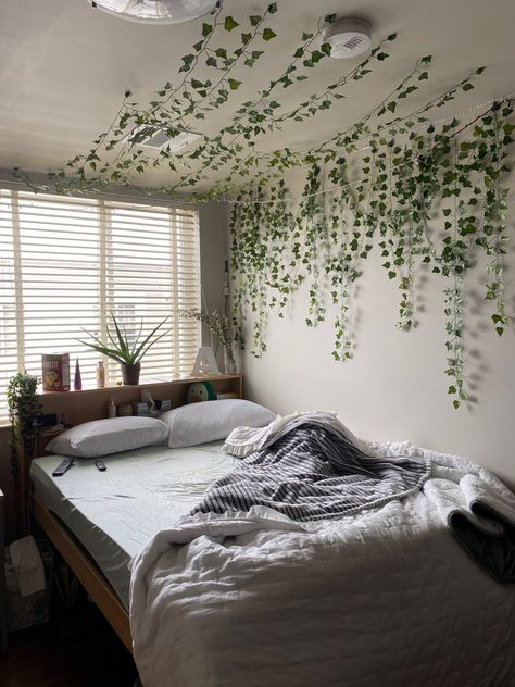 Apartment bedroom, ivy wall decoration Ivy Above Headboard, Fake Ivy Wall Bedroom, Ivy Plant Indoor Decor Bedroom, Wall Ivy Bedroom, Vines And Wisteria Bedroom, Ivy Bedroom Wall, Room Decor Ivy, Ivy Garland Bedroom, Ivy On Wall Bedroom