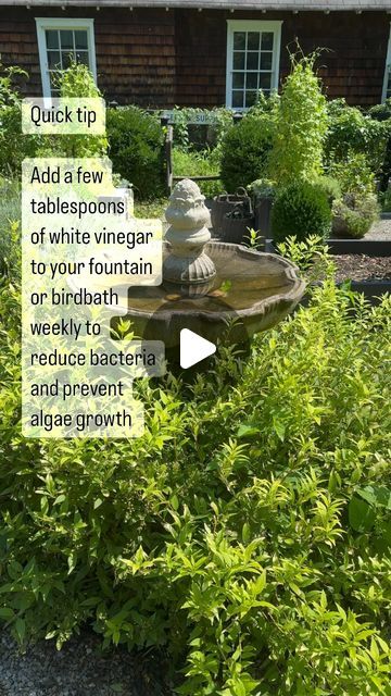 Toni Farmer MES | Keep those water features clean for the birds & bees! 🦜 🐝   #gardentips #gardentiosandtricks #gardenadvice #gardeningtipsforbeginners... | Instagram Landscape Diy, Diy Fountain, For The Birds, Diy Landscaping, August 10, Garden Structures, The Birds, Water Features, Bird Houses