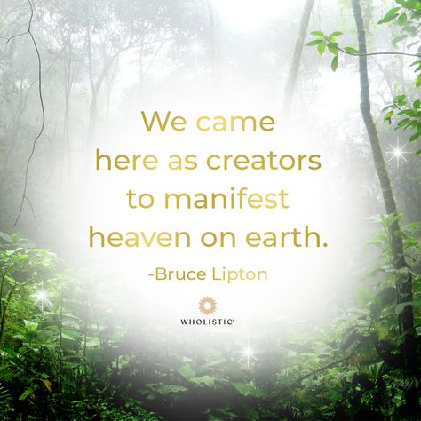 New Earth Quotes, Heaven On Earth Quotes, Bruce Lipton Quotes, Divine Oneness, Personal Philosophy, Bruce Lipton, Mindset Matters, Earth Quotes, Story Pics