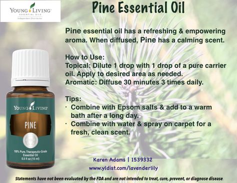 YLEO Pine essential oil Pine Essential Oil Benefits, Young Living Pine, Pine Needle Essential Oil, Pine Essential Oil, Yl Oils, Essential Oils Guide, Essential Oil Benefits, Yl Essential Oils, Living Essentials Oils