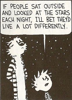 Sufjan Stevens, Look At The Stars, Naha, Calvin And Hobbes, Radiohead, Nature Quotes, Comic Strip, Pretty Words, Pretty Quotes