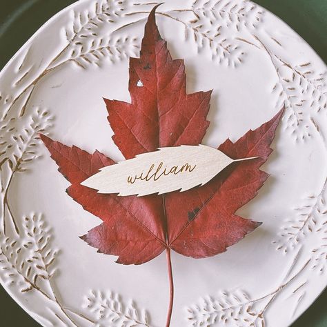 Make sure Aunt Sally doesn't sit next to Cousin George this year with these simple yet super cute custom wooden leaf name tags. Our personalized name tags fit any design style you have going on. Modern, farmhouse or boho...these tags are sure to fit in. Elevate your holiday decor with a personalized touch. DETAILS Our personalized leaf name tags are engraved with your guest's first name only.  Choose your font and shape from our selection in the listing photos. You can choose one shape or let us Leaf Name Tags, Thanksgiving Name Place Cards, Fall Name Tags, Thanksgiving Name Tags, Leaf Place Cards, Gold Table Runner, Leaves Name, Florida Fall, Name Tent