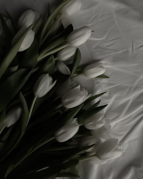 Tulips Black And White, Iphone Wallpaper Elegant, Tulip Wallpaper, Iphone Wallpaper Bright, Iphone Wallpaper Violet, Black White Flowers, Vintage Flowers Wallpaper, Flowers Photography Wallpaper, Flowery Wallpaper