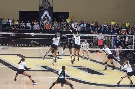 Purdue Volleyball: NCAA Tournament Preview Purdue Volleyball, Purdue Boilermakers, High Point, Volleyball, Ncaa, Basketball Court