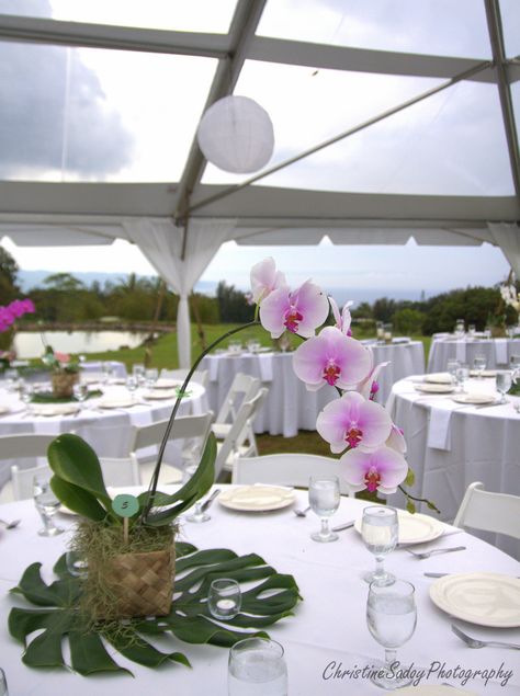 Tropical orchid table centerpiece at Charlie's Pond Lilac Quinceanera Ideas, Simple Table Centerpieces, Orchid Centerpieces Wedding, Flower Party Themes, Bridal Table Decorations, Tropical Theme Party, Orchid Flower Arrangements, Orchid Centerpieces, Greenery Centerpiece