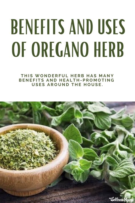 Benefits Of Oregano, Growing Oregano, Oregano Oil Benefits, Oregano Plant, Wellness Mama, Types Of Herbs, Oregano Oil, Culinary Herbs, Home Vegetable Garden