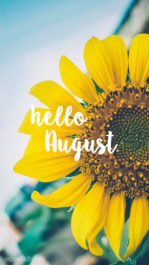 Keri Dinner, Hallo August, August Sunflower, Hello August Images, August Images, Happy Background, Neuer Monat, Welcome August, August Quotes