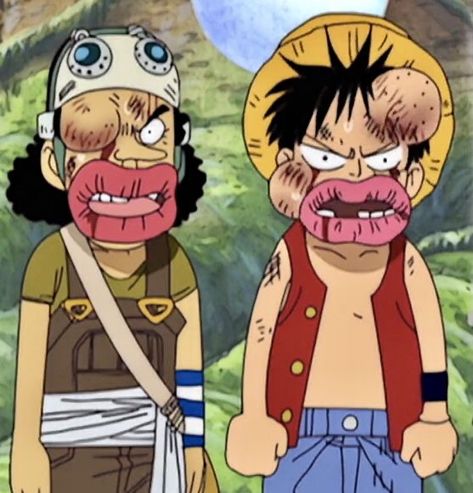 beat up luffy and usopp Facial Expressions, The Story, Facial, One Piece