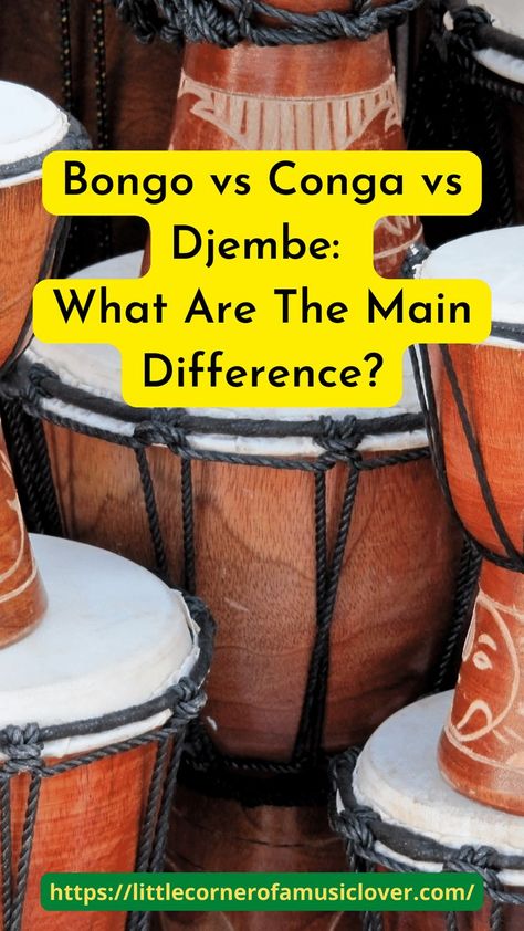 Bongo vs Conga vs Djembe - What Are The Main Difference Djembe Drum, Bongo Drums, Hand Drums, Make Your Choice, Drum Circle, Hand Drum, Drums, Make Your, Make It Yourself