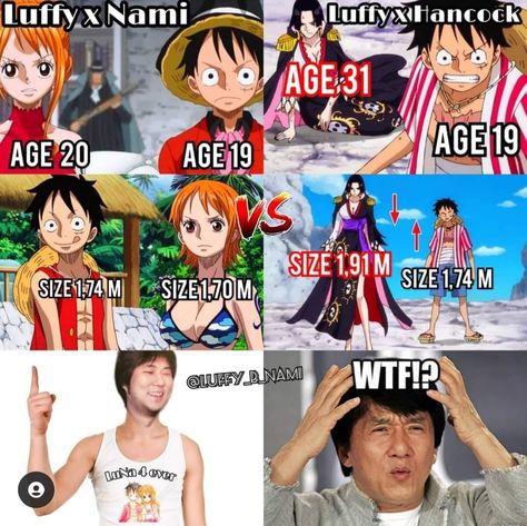 One Piece Funny Moments, Luffy X Nami, One Piece Meme, Nami One Piece, One Piece Funny, One Peice Anime, One Piece Drawing, One Piece Images, One Piece Comic