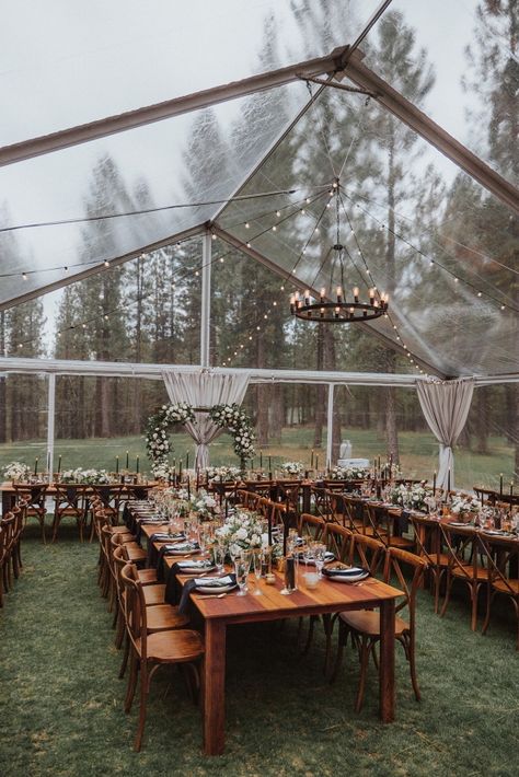 Outdoor Tent Wedding, Tent Wedding Reception, Forest Wedding Venue, Small Backyard Wedding, Clear Tent, Wedding Backyard Reception, Backyard Reception, Yard Wedding, Dream Venue