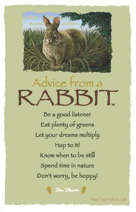 Rabbit Wisdom Somebunny Loves You, Animal Spirit Guide, Animal Spirit Guides, Animal Medicine, Animal Guides, Power Animal, Animal Symbolism, Good Listener, Advice Quotes