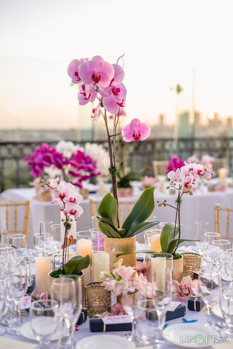 Beach Wedding Orchids, Orchid Wedding Decor Reception Ideas, Orchids Table Decor, Orchid Wedding Table Centerpieces, Orchid Floral Arrangements Wedding Ideas, Orchids At Wedding, Orchids As Centerpieces, Orchid Head Table Wedding, Orchid Wedding Centerpieces Simple