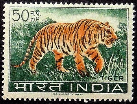 Tiger India Royal Bengal Tiger, طوابع بريد, Postage Stamp Collecting, Edmund Dulac, Postage Stamp Design, India Independence, Cat Stamp, Rare Stamps, History Of India