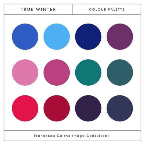 Dark Gray Colour Palette, Color Palette For Winter Skin Tones, True Winter Green, True Red Color Palette, True Winter Color Palette Hair, High Contrast Colour Palette, Toned Winter Color Palette, Winter Skin Tone Color Palette, True Winter Color Palette Makeup