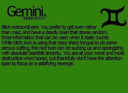 Gemini's dark side. I have to admit I have had some very satisfying revenge :) Gemini Dark Side, All About Gemini, June Gemini, Gemini And Scorpio, Gemini Traits, Gemini Girl, Gemini Quotes, Gemini Life, Gemini Love