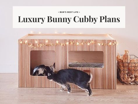 Plans for Luxury Bunny Cubby Free Roam Bunnies Cat Home Base - Etsy Canada Free Roam Bunny Set Up, Free Roam Bunny, Bunny Carrier, Aesthetic Rabbit, Bunny Litter Box, Bunny Beds, Pet Rabbits, Raised Garden Bed Plans, Bunny Room