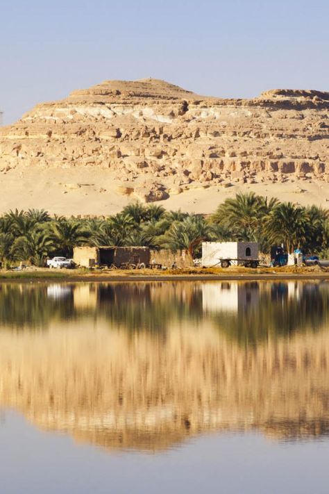 Egypt Moodboard, Oasis Photography, Siwa Oasis Architecture, Egypt Siwa Oasis, Bahariya Oasis Egypt, Siwa Oasis Egypt, Siwa Oasis Egypt Architecture, Siwa Oasis, Egypt Resorts