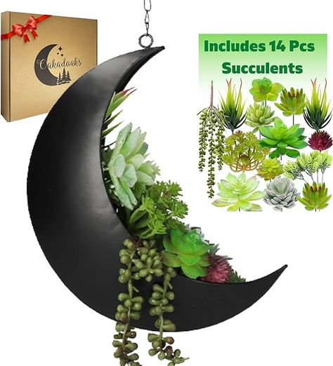 Hanging Moon Planter -14Pcs Artificial Succulents - Great for Air Plant, Mini Cactus, Faux, Artificial Plants-Boho Hanging Planters for Indoor Plants. -"As an Amazon Associate, I earn from qualifying purchases." Moon Planter, Moon Room, Planters For Indoor Plants, Witchy Gifts, Plant Care Houseplant, Planter Gift, Mini Cactus, Hanging Succulents, Face Planters