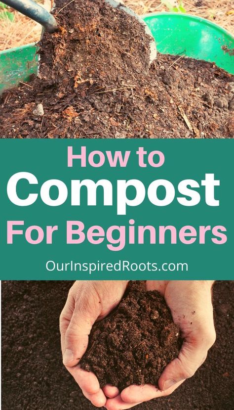 Compost For Vegetable Garden, Compost For Beginners, Planter Gardens, Compost Ideas, How To Start Composting, Start Composting, Composting 101, Composting Methods, How To Compost