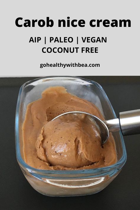 Aip Mug Dessert, Raw Carob Recipes, Carob Powder Recipes, Carob Chips Recipes, Aip Dessert Recipes, Healthy Nice Cream, Carob Recipes, Aip Treats, Aip Vegan