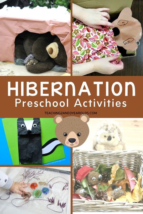 This collection of preschool hibernation activities is a fun addition to the winter theme. Packed with an assortment of ideas for your homeschool or classroom! #preschool #hibernation #bears #caves #winter #homeschool #classroom #preschool #activities #literacy #math #science #finemotor #teachers #3yearolds #4yearolds #printables #teaching2and3yearolds Preschool Hibernation Activities, Hibernating Animals Preschool, Hibernation Preschool Theme, Hibernation Preschool Crafts, Preschool Hibernation, Hibernation Preschool Activities, Hibernation Crafts, Hibernation Preschool, Hibernation Activities