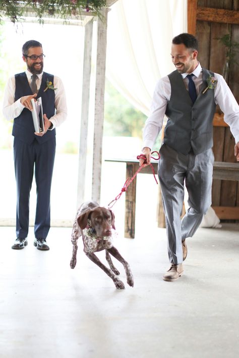 Dog Tux, Big Dog House, Guard Dog Training, Dog Wedding Attire, Wedding Stills, Dog Tuxedo, Adorable Puppy, Dog Crafts, Dog Wedding