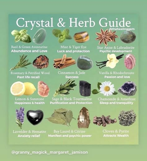 Zodia Pești, Herb Guide, Crystals And Herbs, Herbs List, Crystal Healing Chart, Spell Jars, Witch Tips, Magic Herbs, Magic Spell Book