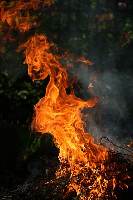 Fire Demon | Appeared in a flashing bonfire. ---» available … | Flickr Breathing Fire, Fire Demon, Fire Image, Fire Photography, Fire Element, Fire Art, Light My Fire, Beltane, Fire And Ice