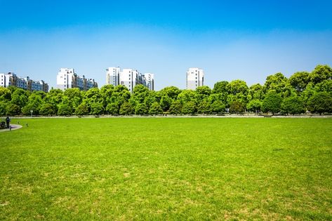 City and grass with blue sky | Free Photo #Freepik #freephoto #shanghai #business-city #city-view #building-background Sky City, Yosemite Park, Grass Background, Mountain Decor, Tips For Success, Spring Landscape, Landscape Background, Green Landscape, New Backgrounds