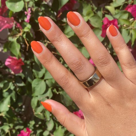 Flowerpot – Olive and June Burnt Orange Dip Nails, Fall Nails Burnt Orange, Burnt Orange Nails Fall, Burnt Orange Nail Polish, Fall Orange Nails, Terracotta Nails, Summer Nails Orange, Fall Manicures, Burnt Orange Nails