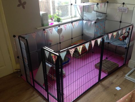 home solutions for rabbit inside - Ricerca Google X Pen Rabbit Cage, Flemish Giant Rabbit Cage Indoor, Rabbit Habitat Indoor, Indoor Rabbit Enclosure, Indoor Rabbit Setup, Rabbit Setup, Diy Bunny Cage, Indoor Rabbit House, Diy Rabbit Cage