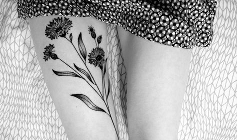 Cornflower tattoo Cornflower Tattoo Design, Poppy And Cornflower Tattoo, Cornflower Tattoo, Blue Cornflower Tattoo Als, German Cornflower Tattoo, Cornflower Symbolism, Cornflower Botanical Illustration, Flower Tattoo, Body Art