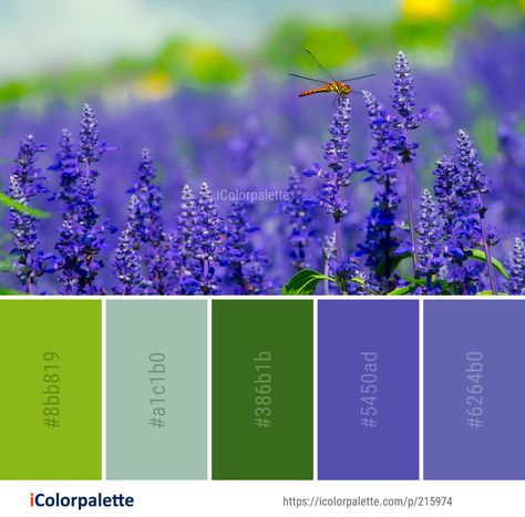 Paint Pallet, Color Palette Ideas, Colors Inspiration, Purple Color Palettes, Flower Image, House Color Palettes, Palette Ideas, English Lavender, House Color