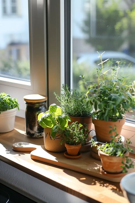 15 Easy Ideas for Kitchen Window Sills That Are Stylish Kitchen Window Sill Decor, Small Apartment Garden, Apartment Herb Gardens, Window Sill Decor, Kitchen Window Sill, Windowsill Garden, Diy Herb Garden, Minimalist Garden, Budget Garden