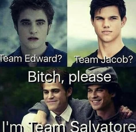 Tvd And Twilight, I Will Always Choose You Damon, Team Salvatore, Vampire Diary, Diary Movie, Team Edward, Fandom Quotes, Vampire Diaries Memes, The Vampire Diaries Characters