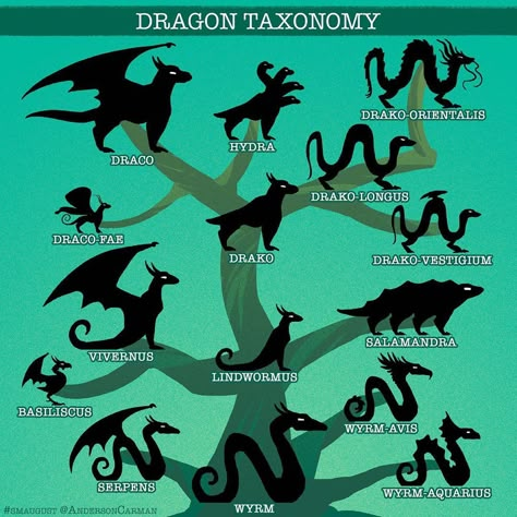 6,580 Me gusta, 55 comentarios - Anderson Carman (@andersoncarman) en Instagram: "Here is a handy guide for all you dragon fans out there of Dragon Taxonomy. - Some dragons have no…" Six Legged Dragon, Dragon Chart, Creatures Reference, Dragon Types, Dragon Reference, Dragon Facts, Dragon Classes, Dragon Ideas, Wings Fairy