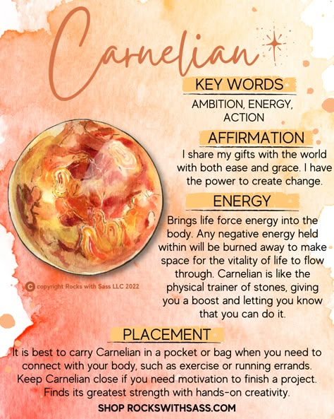 CARNELIAN KEY WORDS: AMBITION, ENERGY, ACTION Energy booster helping you to get out of your rut and make things happen! A powerful aid for those who wish to build their confidence, courage and passion. Good for digestion, improving vitamin absorption. CARNELIAN AFFIRMATION: I share my gifts with the world with both ease and grace. I have the power to create change. Shop Carnelian on our website! RocksWithSass.com Crystal Healing Chart, Crystals Healing Properties, Spiritual Crystals, The Root Chakra, Crystal Healing Stones, Crystals Healing, Crystal Magic, Key Words, Crystal Meanings