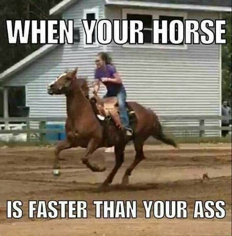 Quotes About Race, Equestrian Memes, Funny Horse Memes, Horse Meme, Horse Memes, Horse Quotes Funny, Funny Horse Videos, Funny Horse Pictures, Horse Jokes