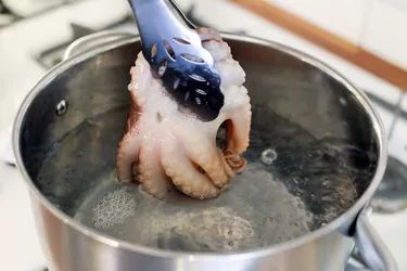 How Do I Prepare an Octopus to Make Sashimi? Cooking Squid, How To Cook Octopus, Fried Fish Batter, Octopus Recipes, Grilled Squid, Squid Recipes, Calamari Recipes, Easy Pork, Portuguese Recipes