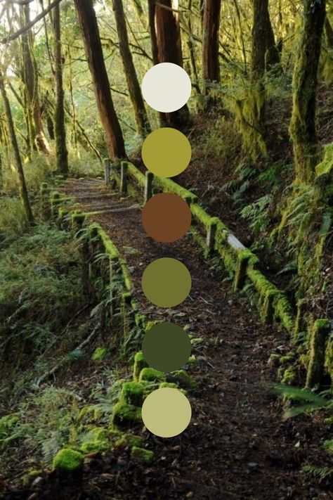 Earth Colour Palette, Earth Tone Color Palette, Earth Tone Color, Forest Color, Color Schemes Colour Palettes, Summer Color Palette, Nature Color Palette, Earthy Color Palette, Colour Ideas