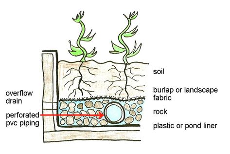 wicking beds - foodisfreeproject.wordpress.com Homemade Furniture Polish, Watering Raised Garden Beds, Wicking Garden Bed, Computer Desk Plans, Rocking Horse Plans, 10 Gallon Fish Tank, Plant Bed, Aquaponics Kit, Dresser Plans