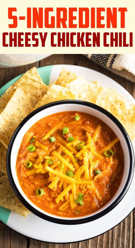 5-Ingredient Cheesy Chicken Chili Recipe: This lean chili is make with just chicken, beans, salsa, enchilada sauce, and cheese! It's easy to make and even better to eat! #ASpicyPerspective #chili #5ingredients via @spicyperspectiv Cheese Enchiladas With Red Sauce, Chili Video, Enchiladas With Red Sauce, Creamy White Chicken Chili Recipe, Chicken Beans, Creamy White Chicken Chili, White Chili Chicken Recipe, A Spicy Perspective, Enchilada Soup