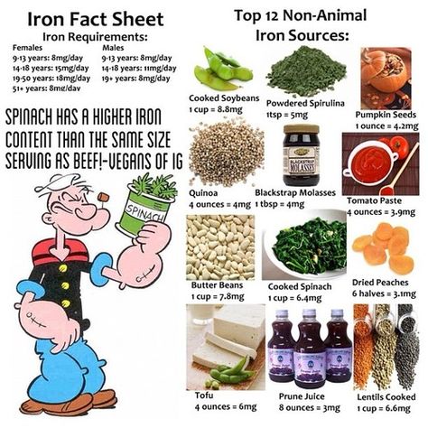 Iron Foods, Sources Of Iron, Foods With Iron, Iron Supplement, Foods High In Iron, Iron Deficiency, Iron Rich Foods, Iron Rich, Healing Food